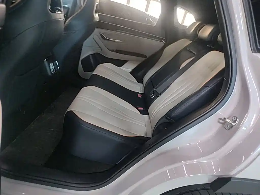 BYD Song PLUS New Energy 2024 — фото 17