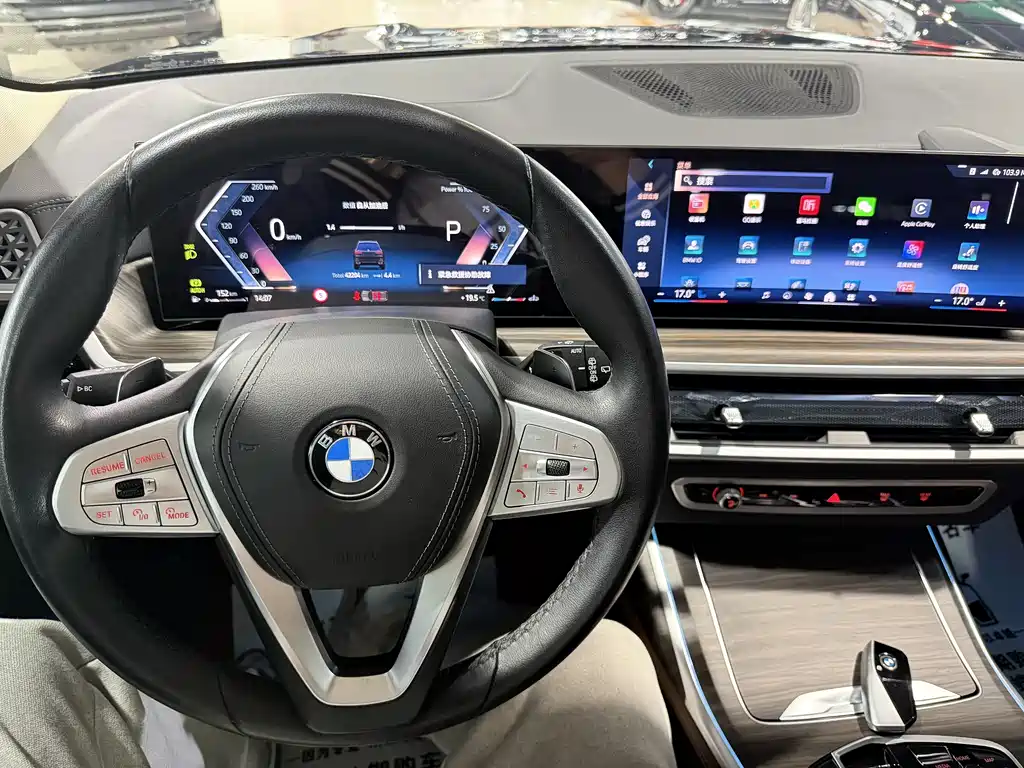 BMW X7 2023 — фото 9
