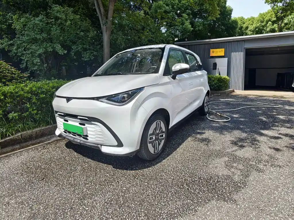 Cowin Shiyue 2025