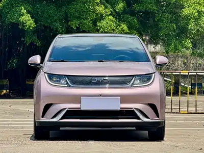 BYD Dolphin 2024