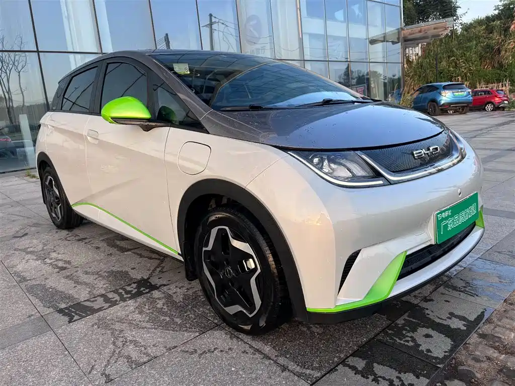 BYD Dolphin 2021