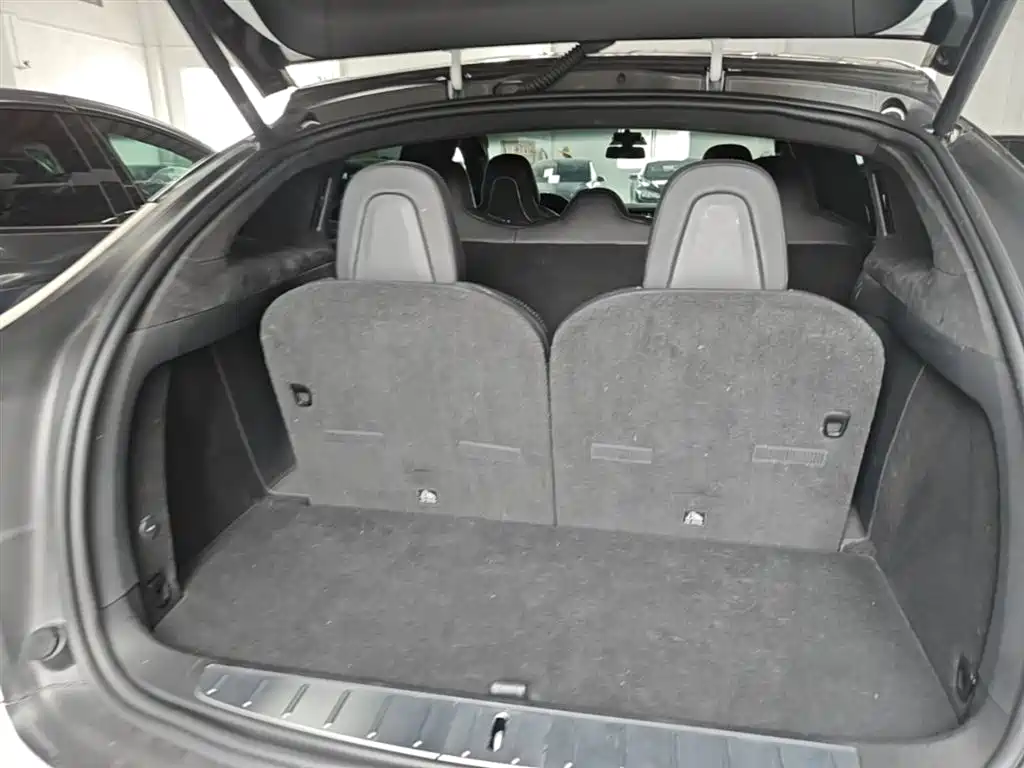 Tesla Model X 2019 — фото 19