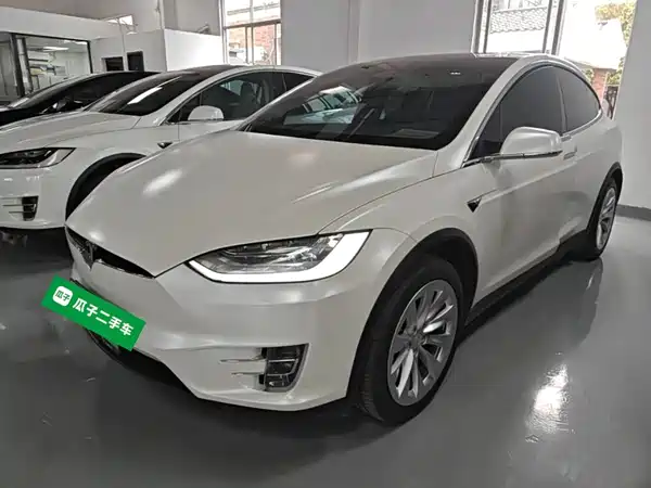 Tesla Model X 2019