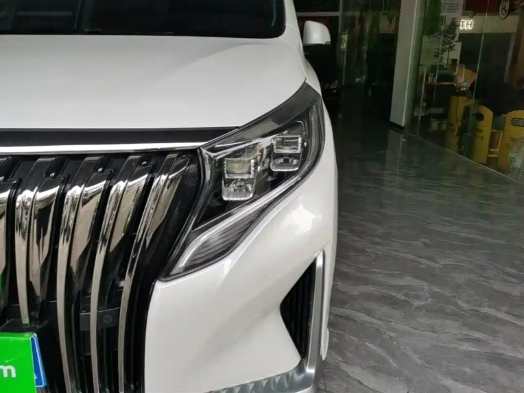 GAC Motor Trumpchi M8 2021 — фото 24