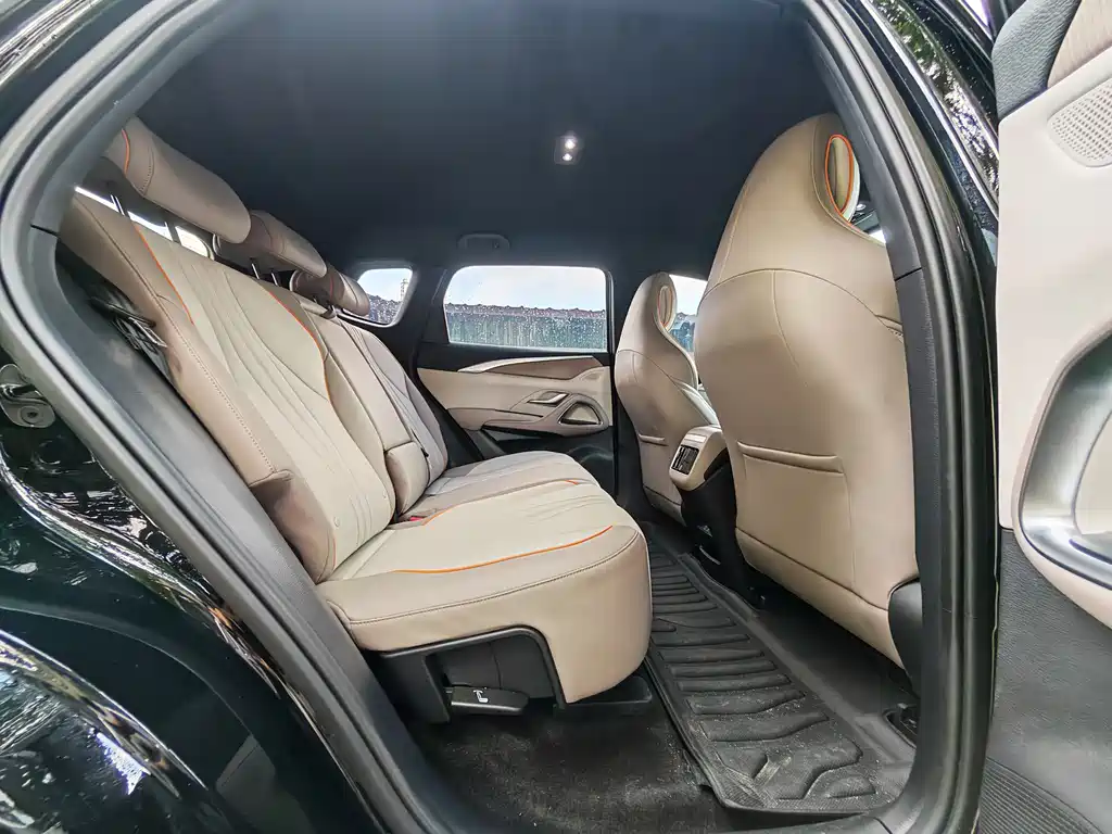 BYD Pro New Energy 2024 — фото 10