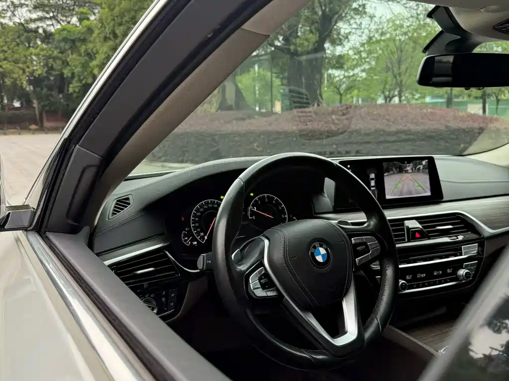 BMW 5 Series 2019 — фото 9