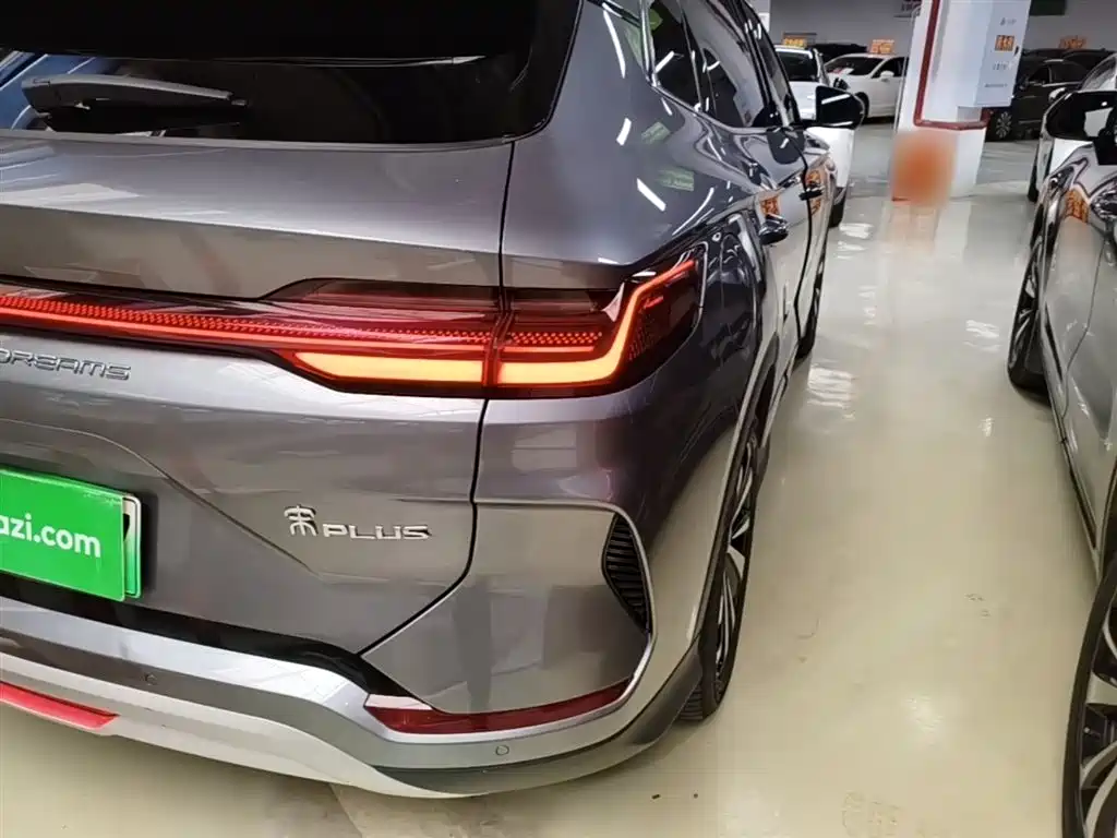 BYD PLUS New Energy 2024 — фото 24