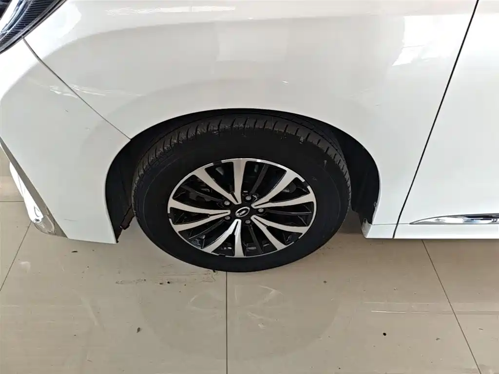 GAC Motor Trumpchi M8 2022 — фото 23