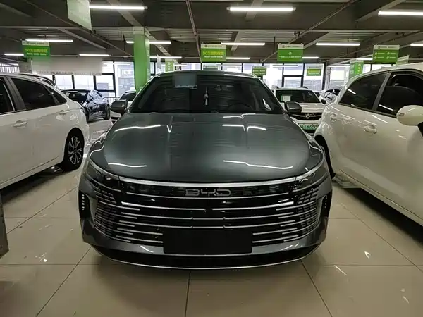 BYD Destroyer 05 2024