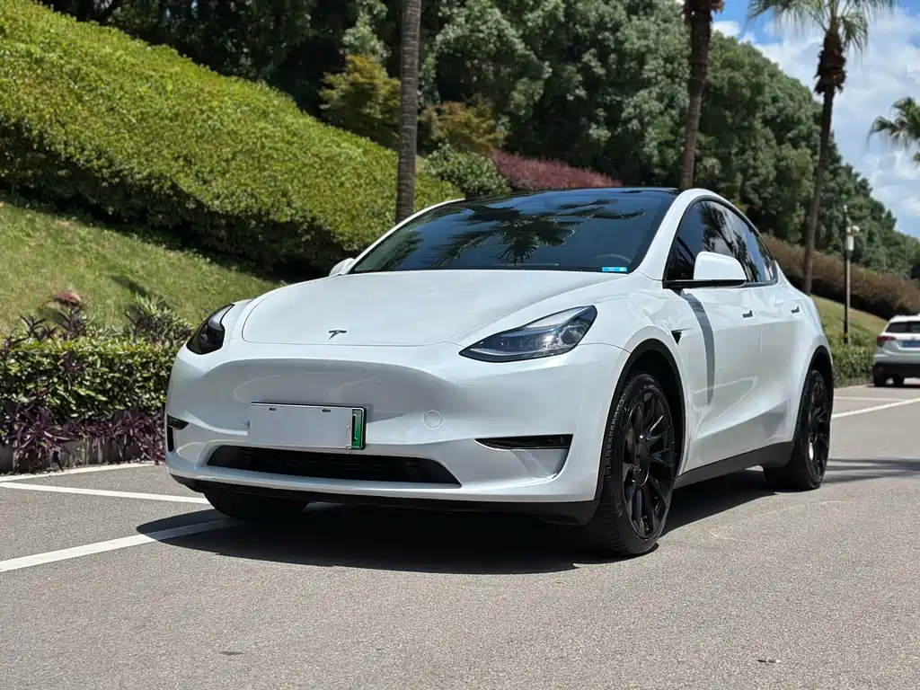 Tesla Model Y 2024 — фото 1