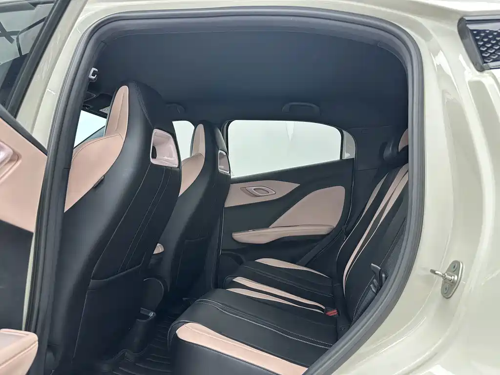 BYD Seagull 2024
