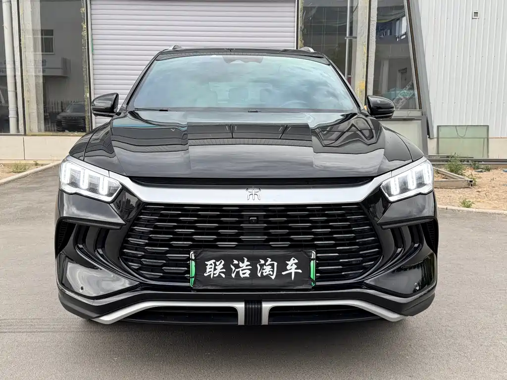 BYD Pro New Energy 2024 — фото 2
