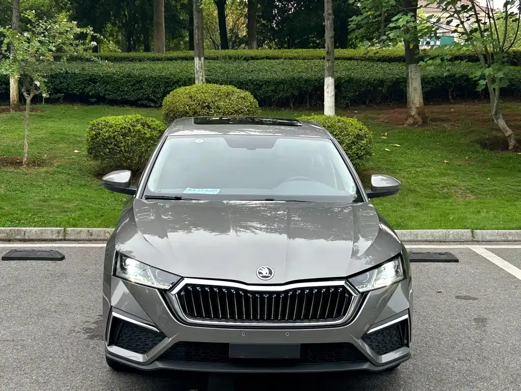 Skoda Octavia 2023 — фото 2