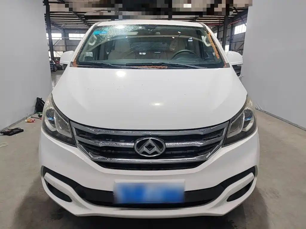 Maxus G10 2016