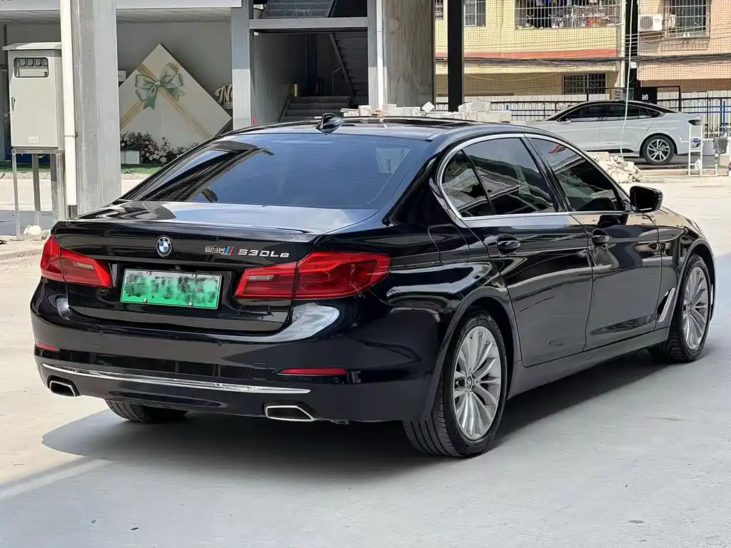 BMW 5 Series New Energy 2020