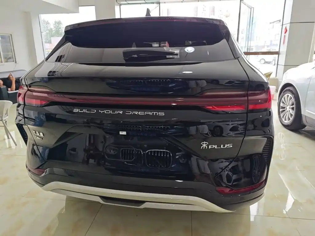 BYD Song PLUS New Energy 2023 — фото 6