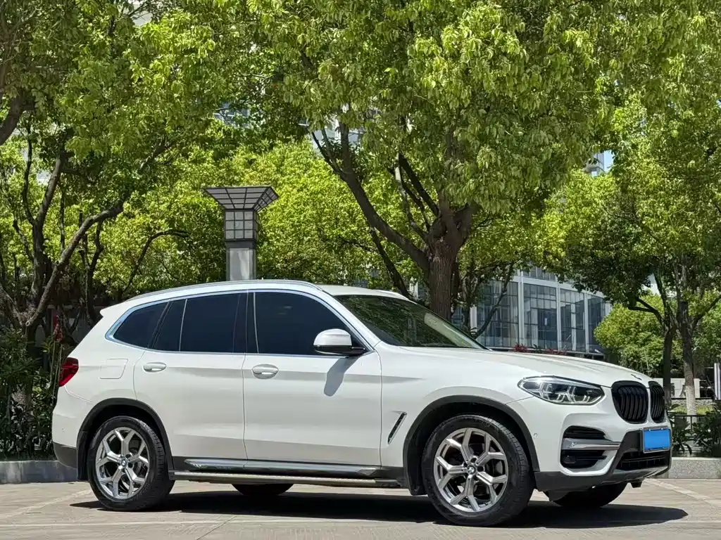 BMW X3 2019 — фото 6