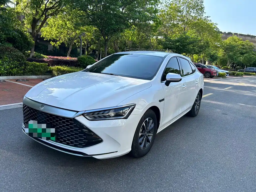 BYD Qin PLUS 2023 — фото 1