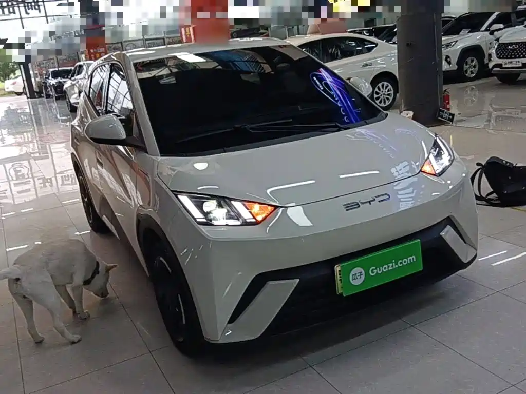 BYD Seagull 2023 — фото 4