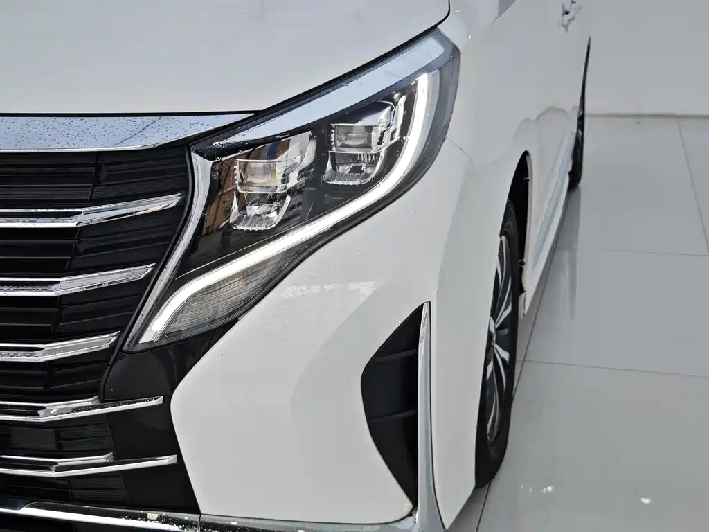 GAC Motor Trumpchi M8 2022 — фото 28