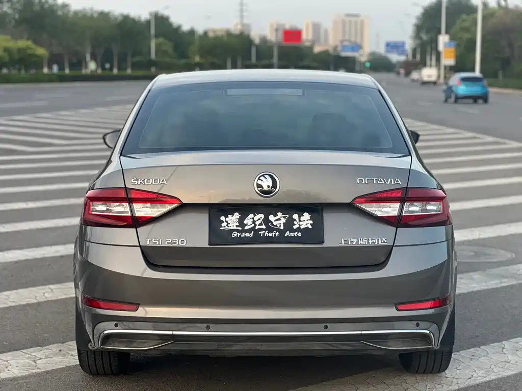 Skoda Octavia 2018 — фото 19