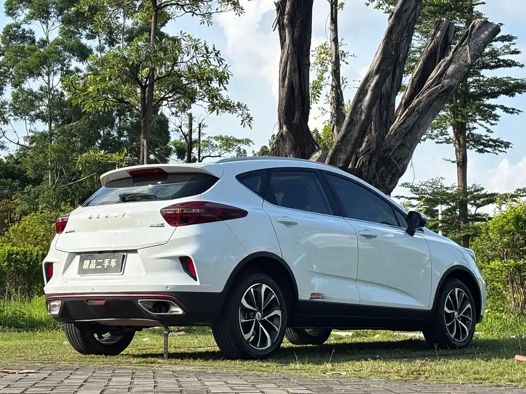 Geely Emgrand GS 2020 — фото 5