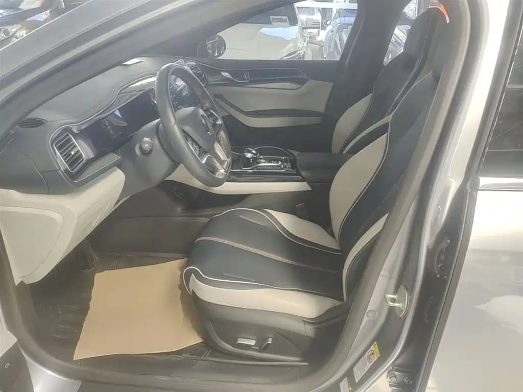 BYD Qin PLUS 2021 — фото 15