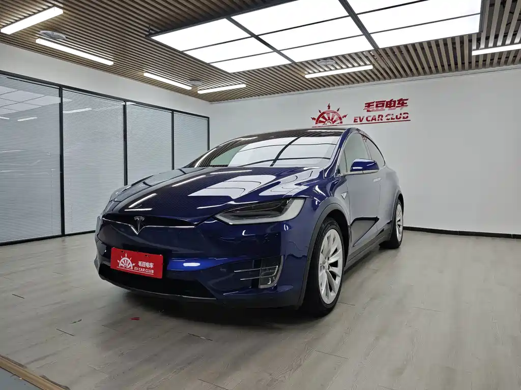 Tesla Model X 2017 — фото 2