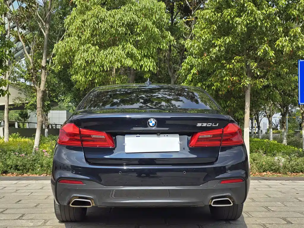 BMW 5 Series 2020 — фото 11