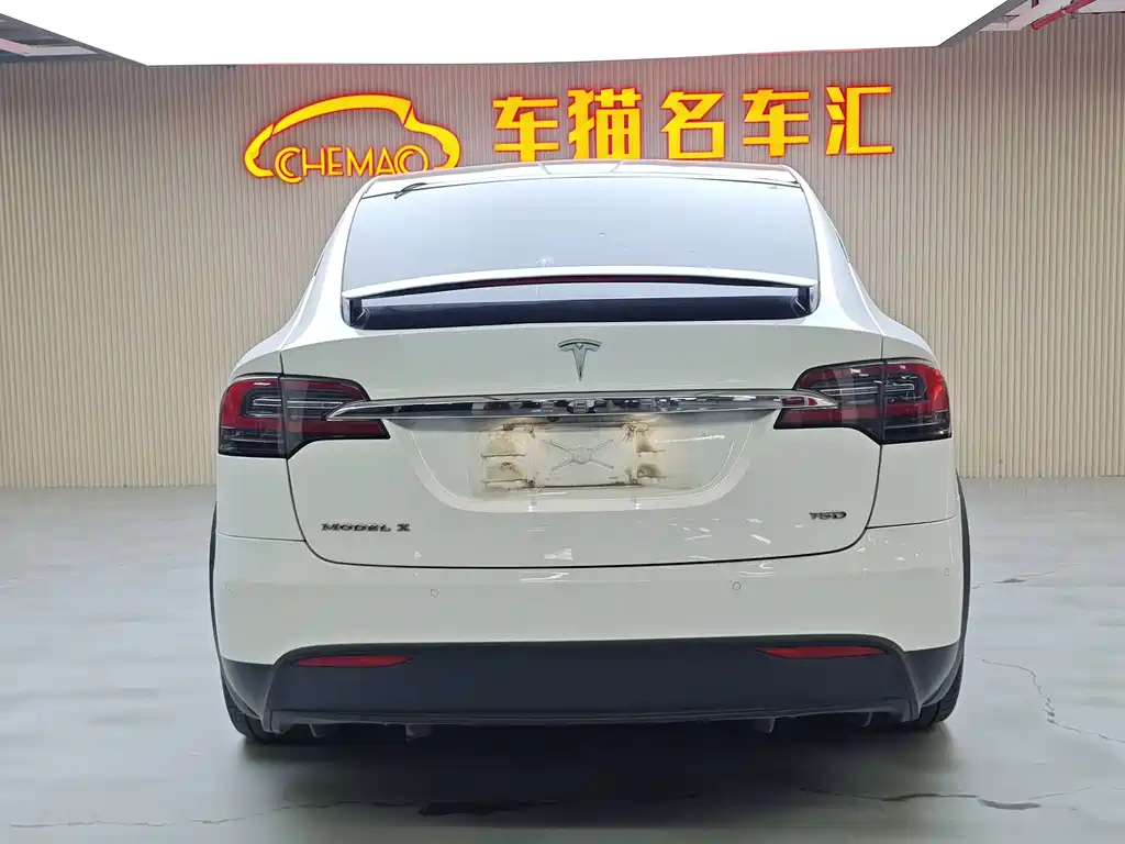 Tesla Model X 2017 — фото 16
