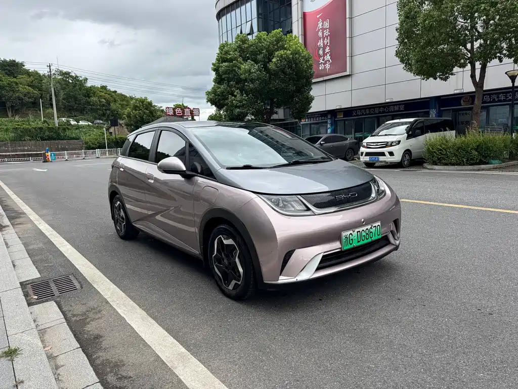 BYD Dolphin 2022
