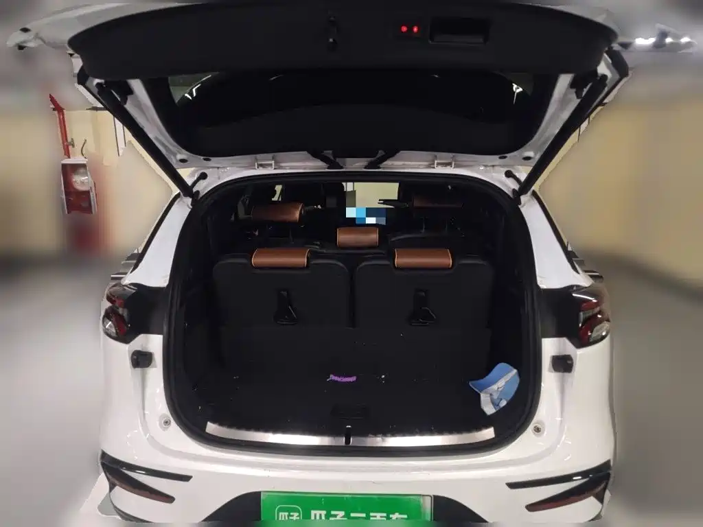 BYD Tang New Energy 2021 — фото 10