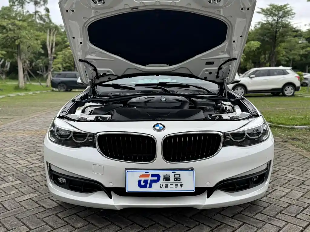 BMW 3 Series GT 2018 — фото 20