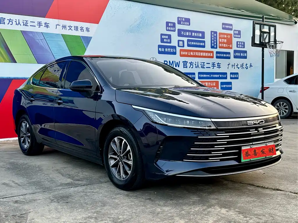 BYD Destroyer 05 2024 — фото 3