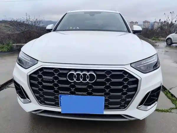 Audi Q5L 2022