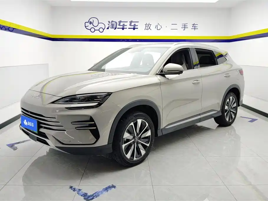 BYD PLUS New Energy 2025 — фото 1