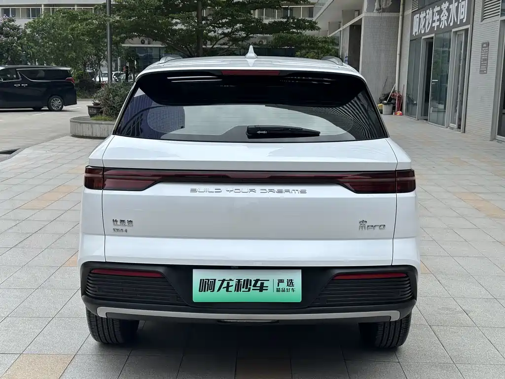 BYD Pro New Energy 2023 — фото 5