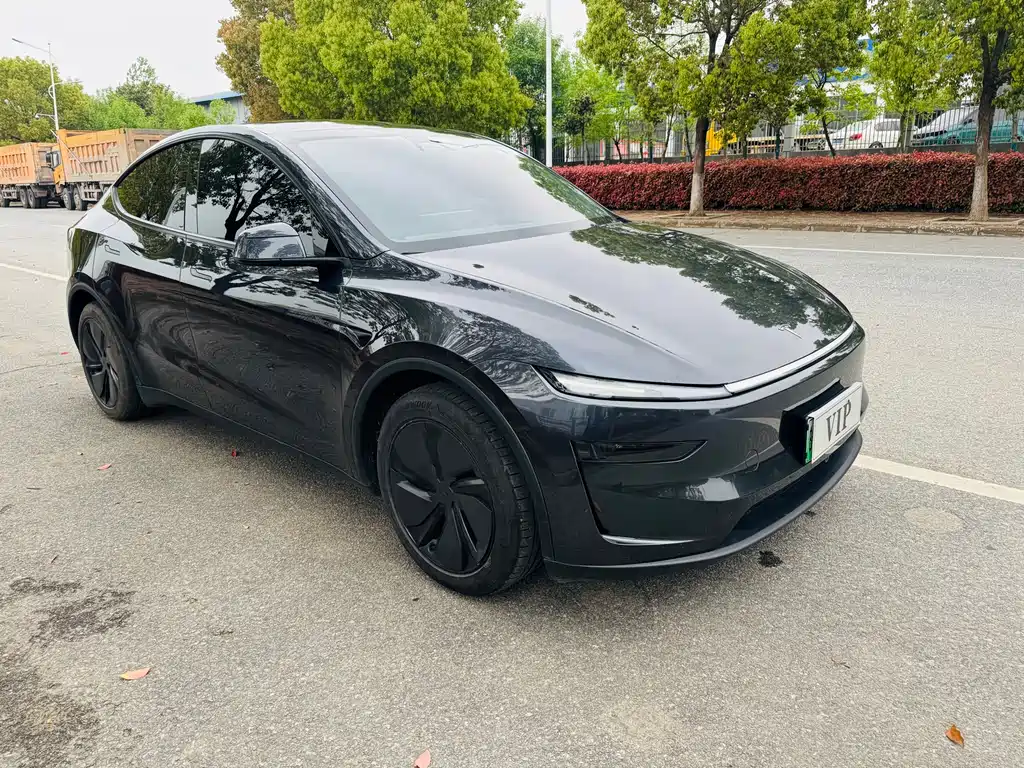 Tesla Model Y 2025 — фото 3