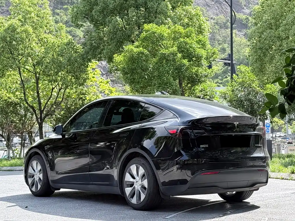 Tesla Model Y 2021 — фото 17