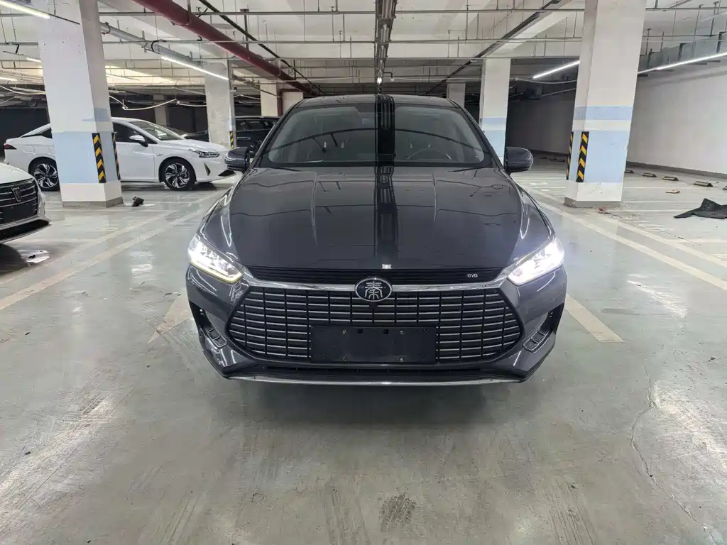 BYD Qin Pro NEV 2020 — фото 2
