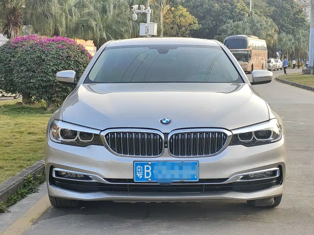 BMW 5 Series 2019