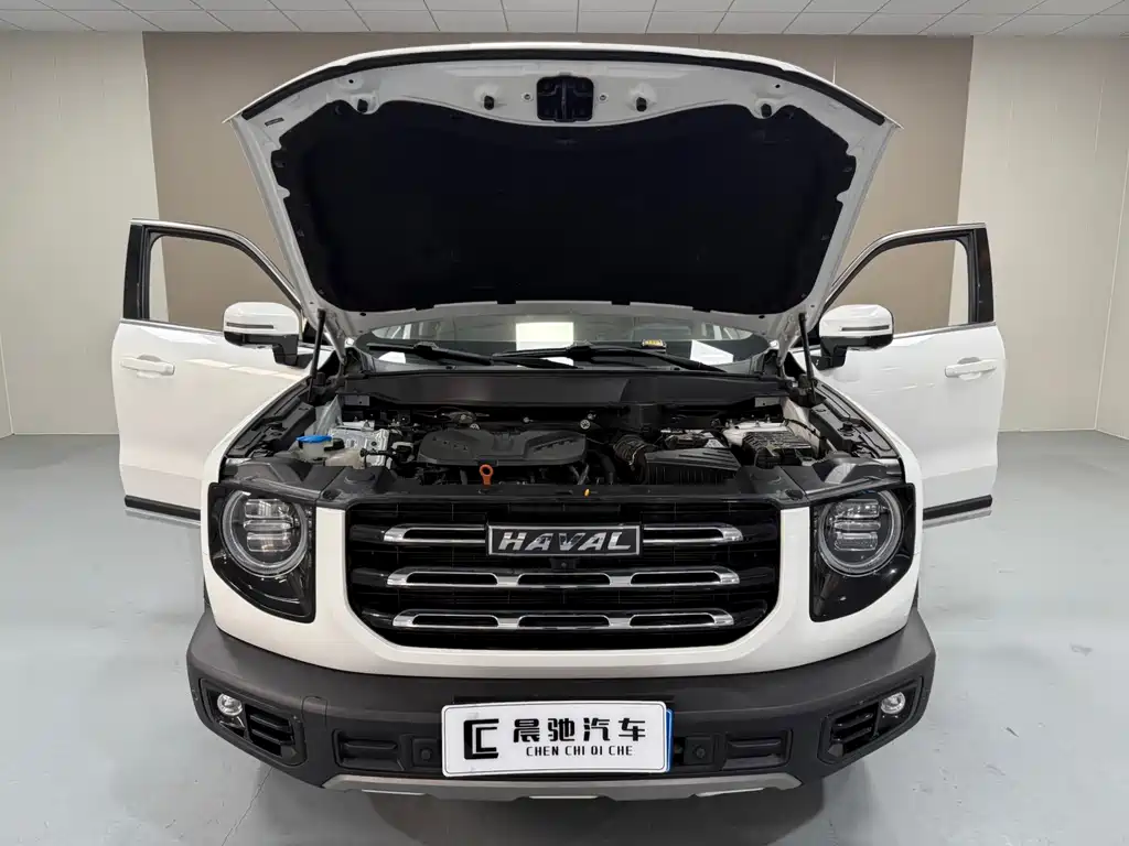Haval Big Dog 2021 — фото 15