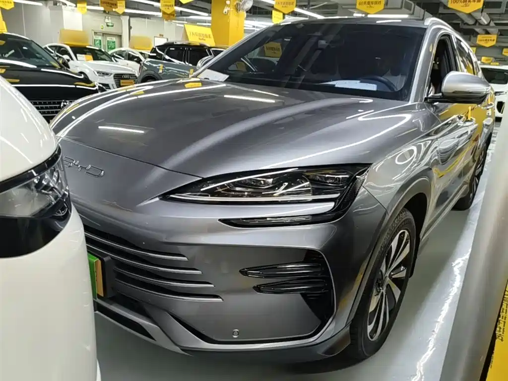 BYD PLUS New Energy 2024 — фото 1