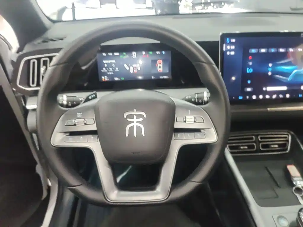 BYD Song Pro New Energy 2025 — фото 11