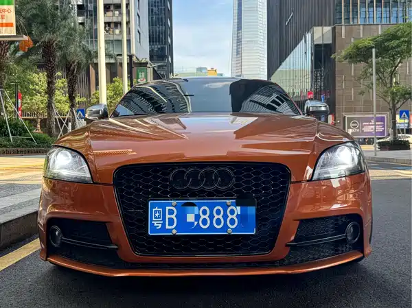 Audi TTS 2013