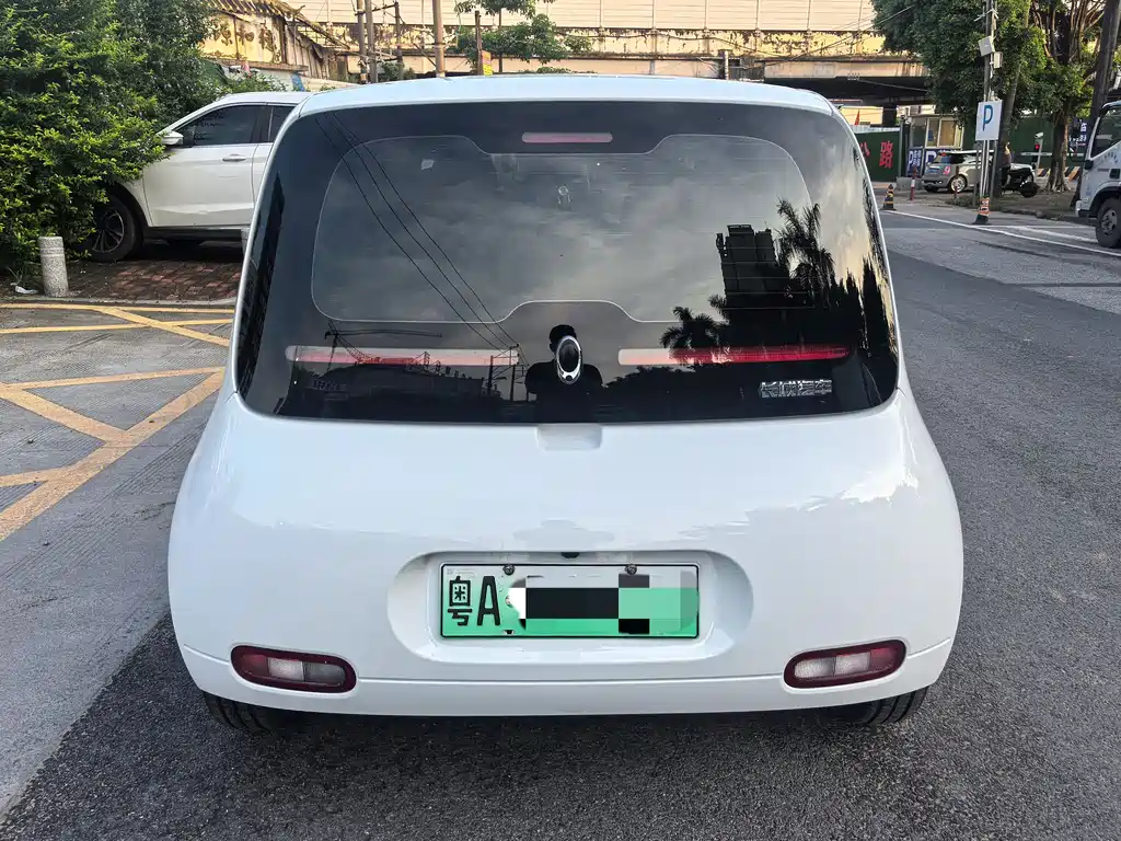 Ora White Cat 2021