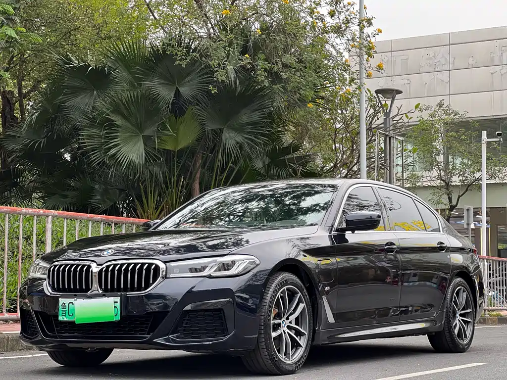 BMW 5 Series New Energy 2021 — фото 24