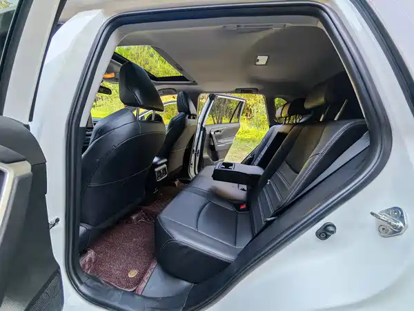 Toyota Wildlander 2021