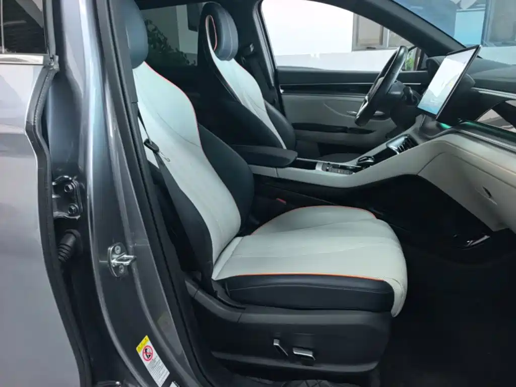 BYD Song PLUS New Energy 2023 — фото 25