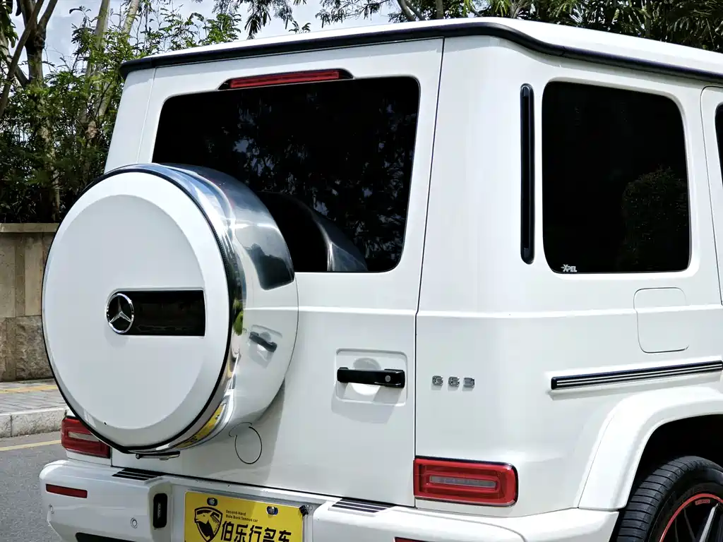 Mercedes-Benz G-Class 2019 — фото 22